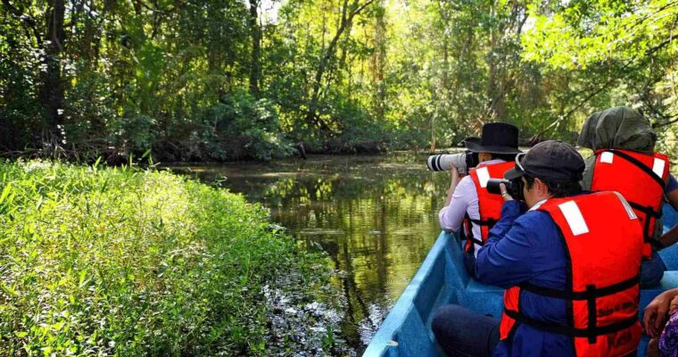 Descubre la belleza natural del Parque de Pico Bonito: Senderismo, avistamiento de fauna y más aventuras en Honduras