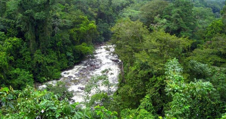Descubre La Reserva de Río Plátano: Un paraíso natural en Honduras